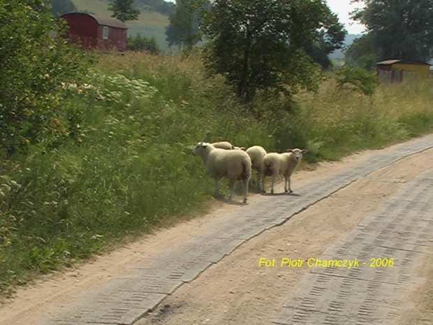 Koleżanki MK z Somonina :)