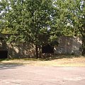 Bunkry w Jeleniu #bunkry #Jelen
