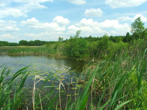 Jezioro Moszne #jezioro #Moszne #rezerwat