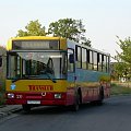 Autobus należący do lubońskiego Translubu, petla Lasek