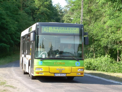 Szprotka zjezdza z Ludwikowa w kierunku Krosinka