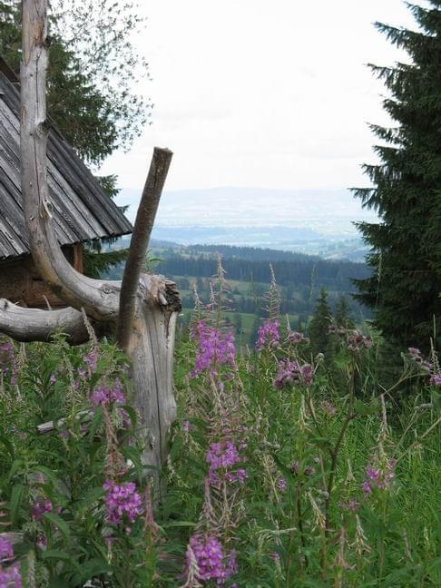 zakopane