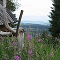 zakopane