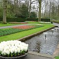 Ogród Keukenhof w Lisse to jedna z największych wiosennych atrakcji Holandii