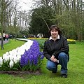 Ogród Keukenhof w Lisse to jedna z największych wiosennych atrakcji Holandii