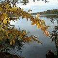 jez.Otomino #drzewa #jezioro #jesień