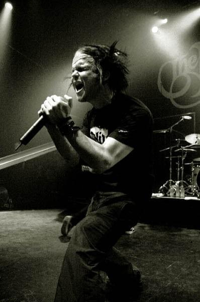 The rasmus