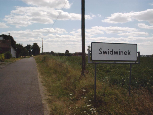 #Świdwinek