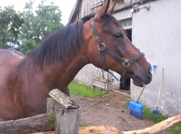 mazury 2006