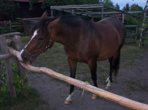 mazury 2006