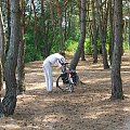 Rowerzysta nad Wieprzem koło Niebrzegowa #rower #rowerzysta #las #Niebrzegów