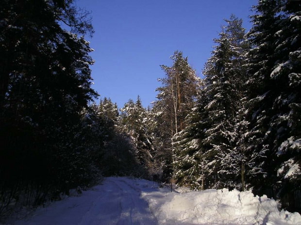 Zima w Świętokrzyskim