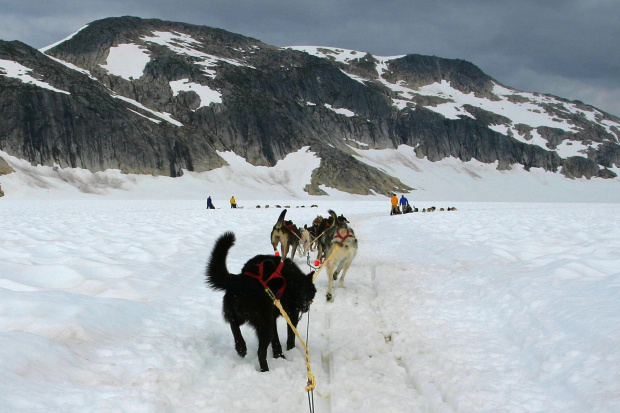 Dog Sled Camp at Juneau Glacier Allaska