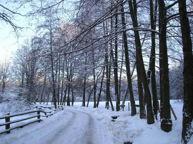 Zima w Górach Świętokrzyskich