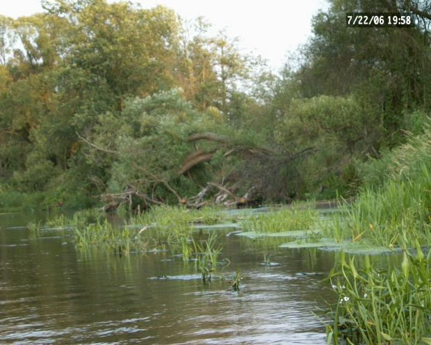 Bobry nad Liwcem