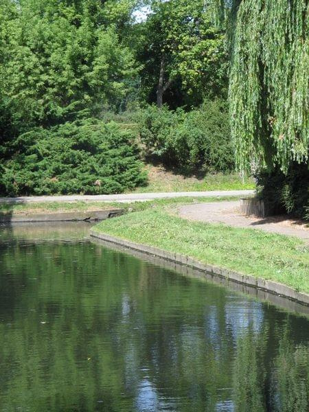 spacer do Doliny Marzeń #park #Toruń #widoki