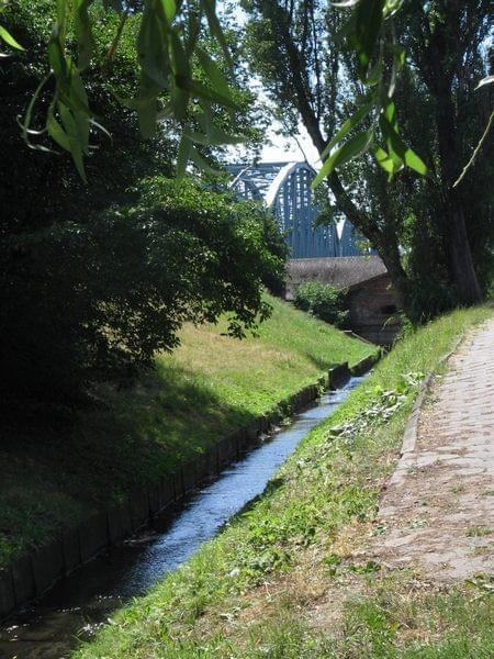 spacer do Doliny Marzeń #park #Toruń #widoki