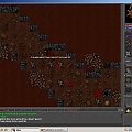 Advans 04.08.06 #Tibia