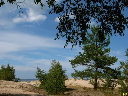 Sobieszewo-Ptasi Raj-wydmy #wydmy #krajobraz #NadMorzem