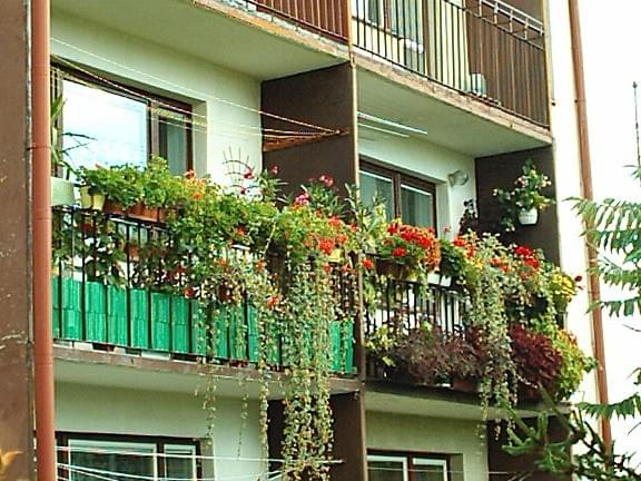 mój balkon i mojej sąsiadki 2004rok