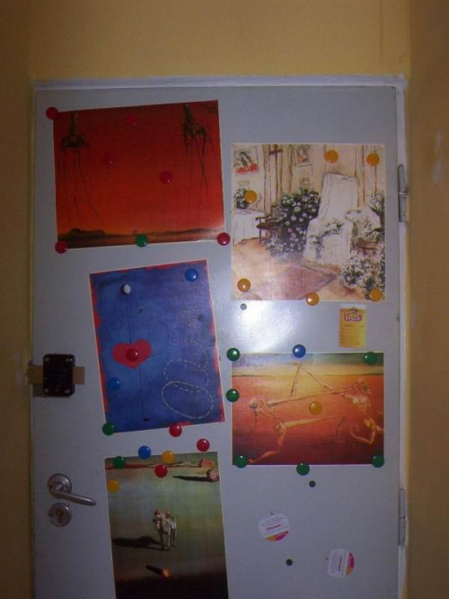 piękne drzwi - jeszcze z magnesami - zanim dzieć je pogubił albo popsuł