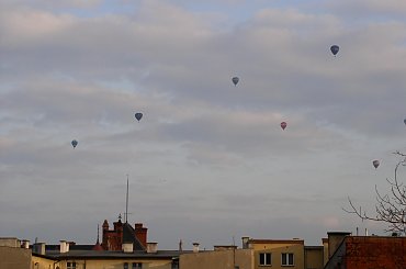 #wirus0 #grudziądz #FotkiWirus0