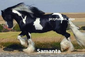 samanta