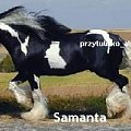 samanta