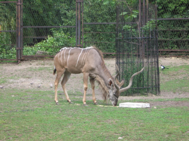 Śląskie ZOO 2006