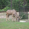 Śląskie ZOO 2006