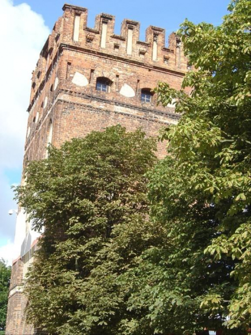#Malbork #zamek #krzyżacy