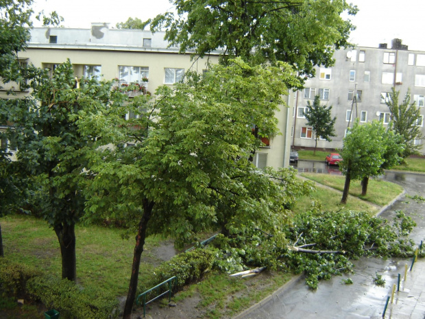 zawalone drzewo St-ce kościelna
15.08.2006r