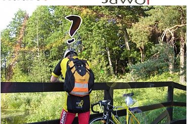 Logo #logo #Breyt #forum