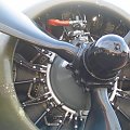 Boeing B-17G_03