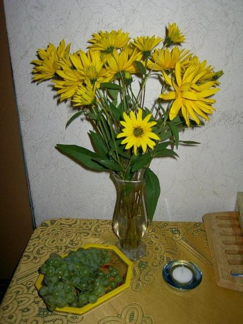 słoneczniczek #kwiaty #bukiet
