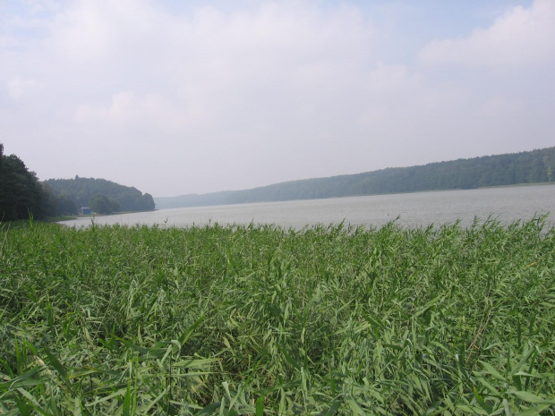 jezioro Lidzbarskie