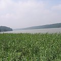 jezioro Lidzbarskie