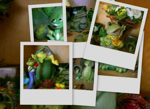 kolekcja moich żabek
