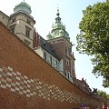 Mur z cegiełkami, upamiętniajacymi ofiarodawców #Kraków #Miasto #Wawel #Sukiennice