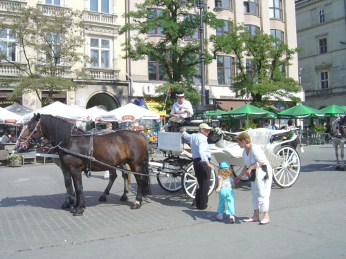 #Kraków #Miasto #Wawel #Sukiennice