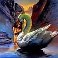swan