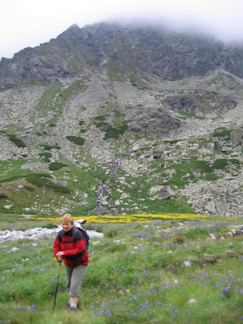 Wielicki ogród #GóryTatry