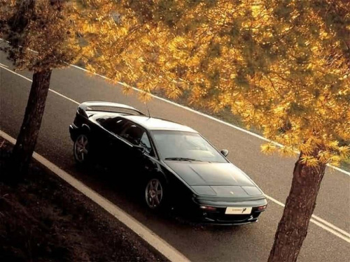 Esprit V8 #lotus #esprit