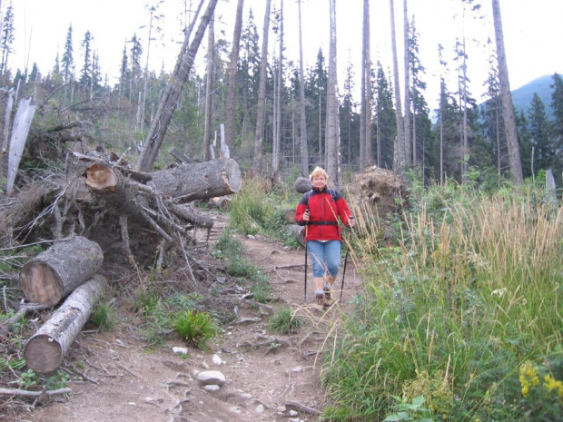 Skutki wichury z 2004 roku #GóryTatry