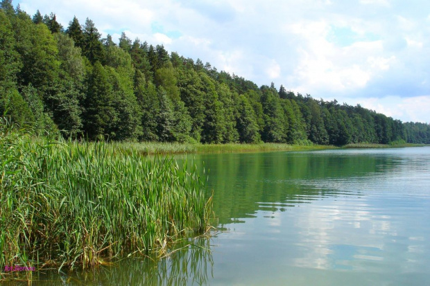 Jezioro Jegocinek