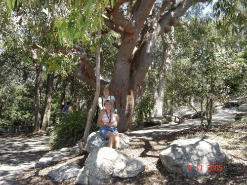 Ku-Ring-Gai Chase National Park