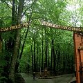 Góra Chełmska - wycieczka z kolonii