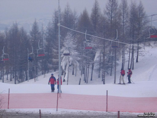 Stok Narciarski w Przemyślu