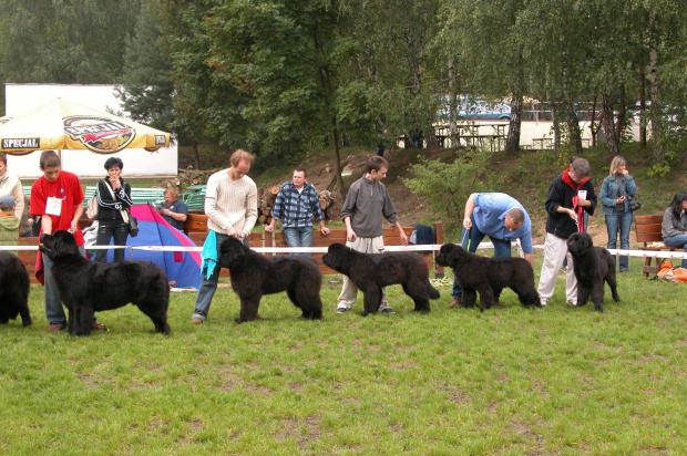 LIDZBARK 2006