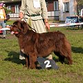 LIDZBARK 2006